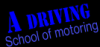 adriving avatar