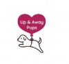 upandawaypups avatar